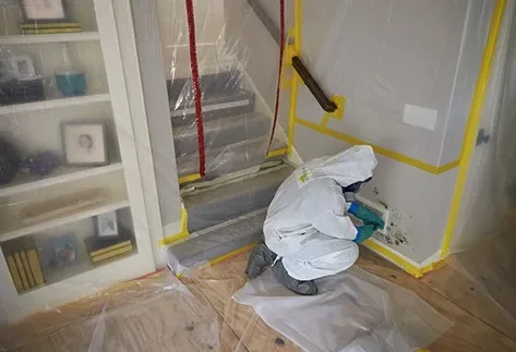 Mold remediation specialist in Albany NY